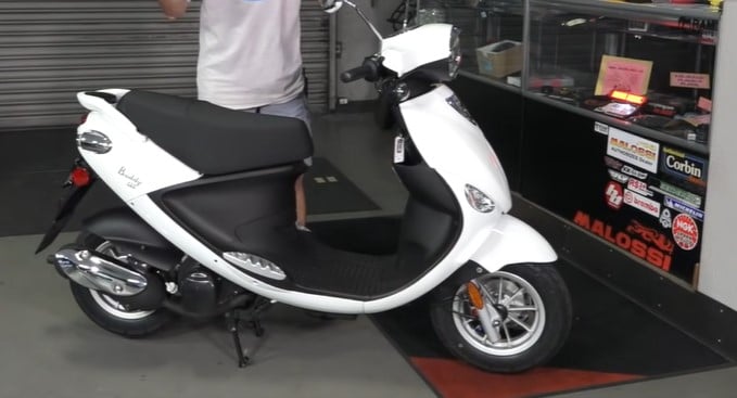 buddy scooter